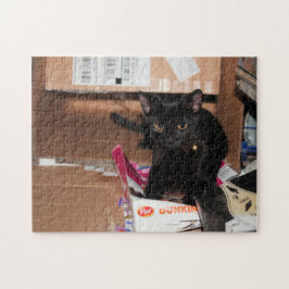 Katze