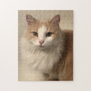 Katze