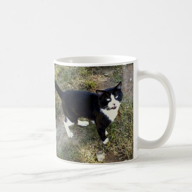 Katze 10, Tasse (Rechts)