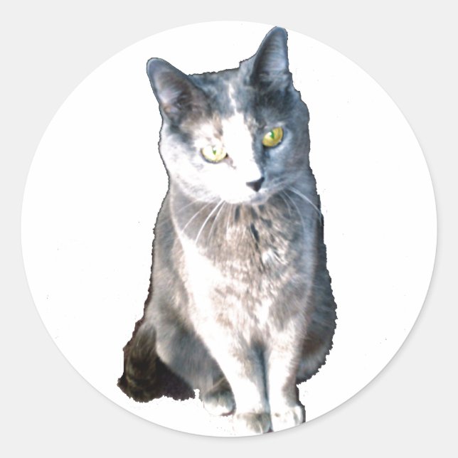 Katze 11 Aufkleber (Vorderseite)