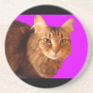Katze 14 Untersetzer