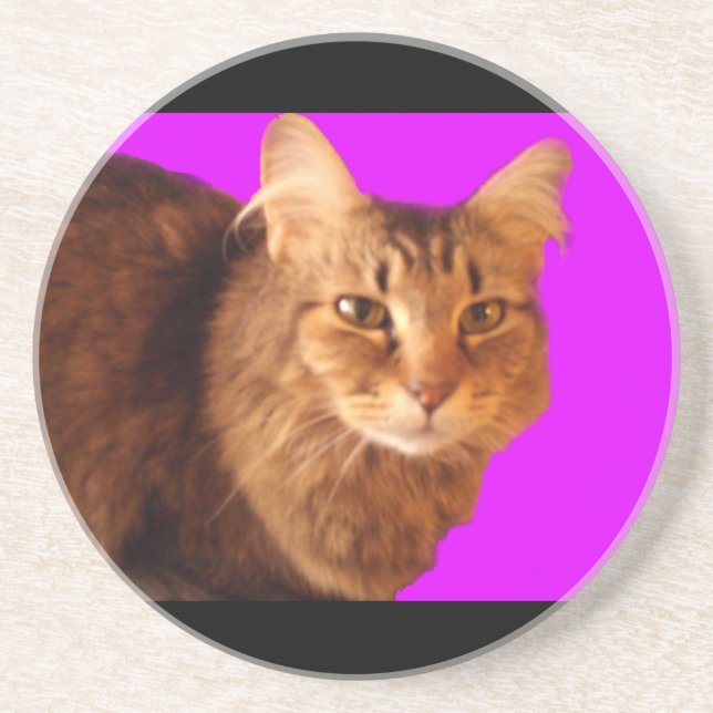 Katze 14 Untersetzer (Vorne)