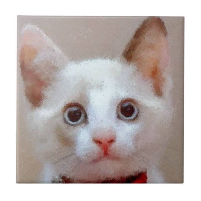 Katze 3 fliese (Vorderseite)