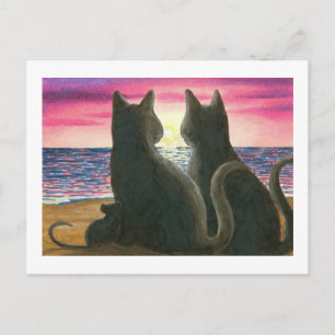 Katze 434 Postkarte