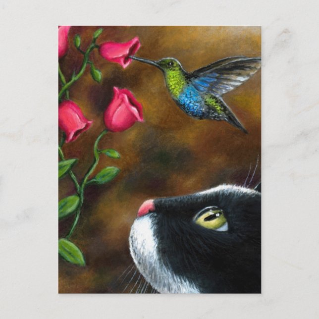 Katze 571 Tuxedo mit Hummingbird Postkarte (Vorderseite)