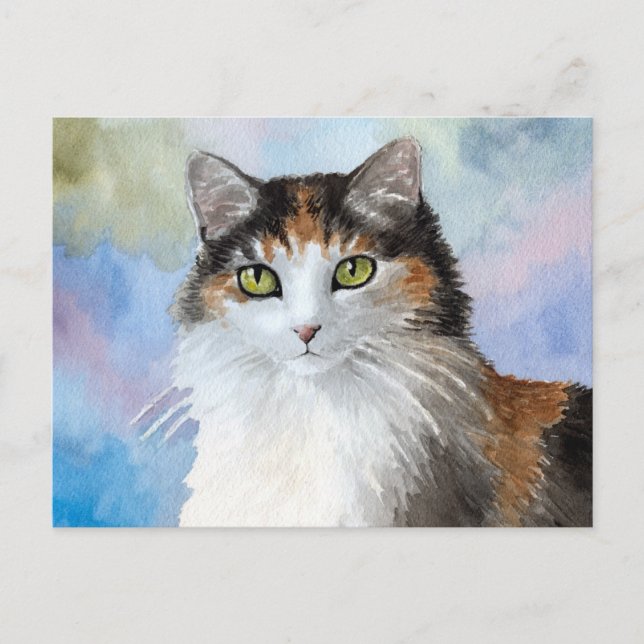 Katze 572 Postkarte (Vorderseite)