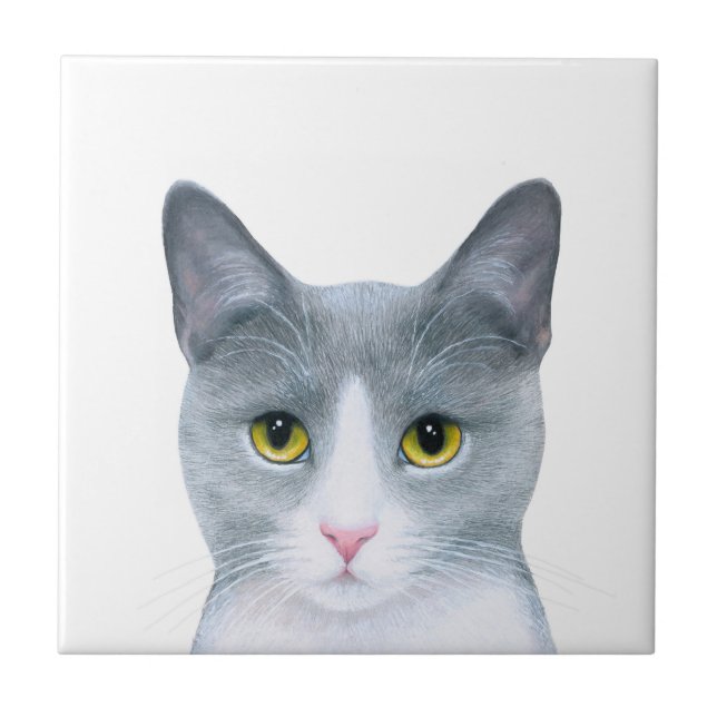 Katze 611, graue Katze Fliese (Vorderseite)