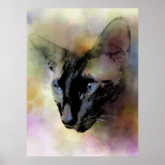 Katze 620 Siamesen Poster (Vorne)