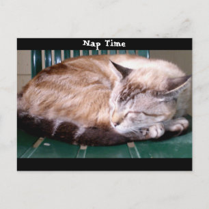 Katze 7, Nickerchen Zeit, Postkarte