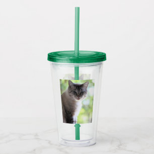 Katze Acryltrinkbecher