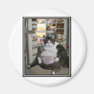 KATZE AM KÜHLSCHRANK MAGNET