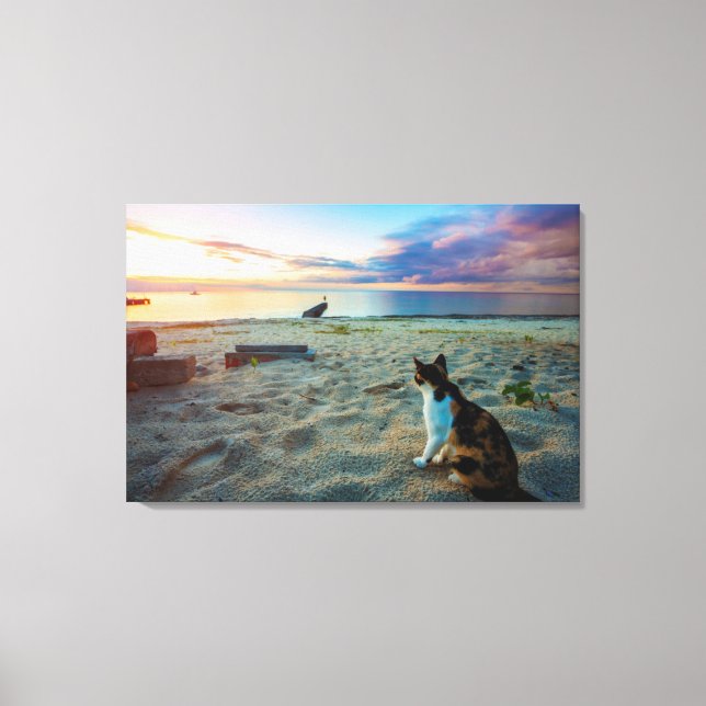 Katze am Strand Leinwanddruck (Vorderseite)
