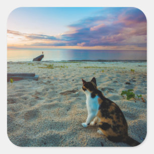 Katze am Strand Quadratischer Aufkleber