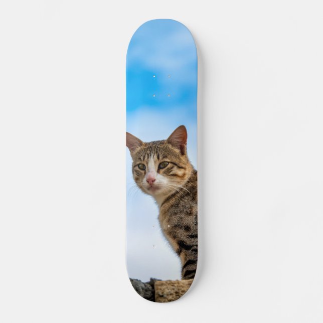 Katze an der Wand Skateboard (Vorderseite)