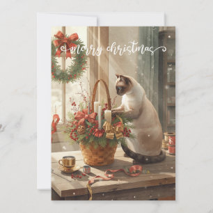 Katze arrangiert Winterblumen für Weihnachten