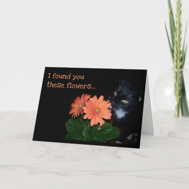 Katze Ate Your Birthday Blume Karte (Vorderseite)