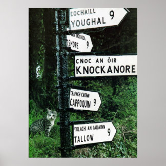 Katze auf 10 Meilen Poster