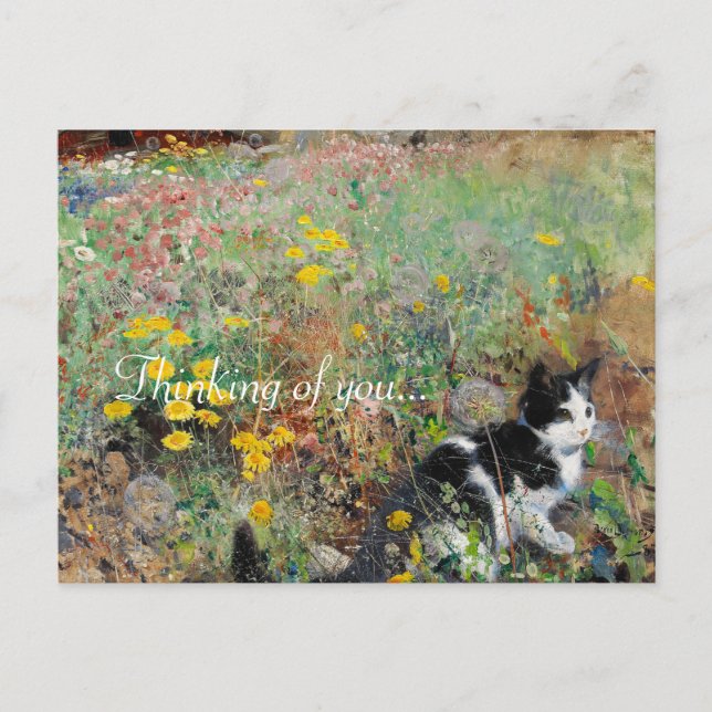 Katze auf Blumenbeet Postkarte (Vorderseite)
