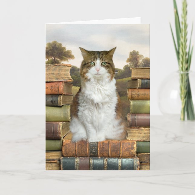 Katze auf Büchern Karte (Vorderseite)