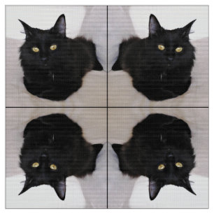 Katze auf Couch Stoff