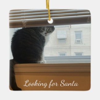 Katze auf der Suche nach Santa Ornament