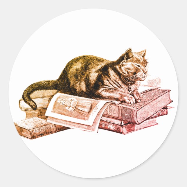 Katze auf einem Buchstapel Runder Aufkleber (Vorderseite)