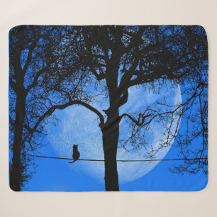 Katze auf einem Draht Blaue Mond Sherpadecke
