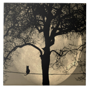 Katze auf einem Draht Vollmond Fliese