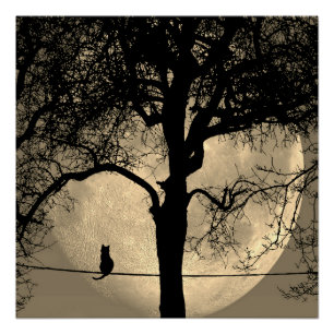 Katze auf einem Draht Vollmond Poster