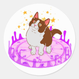 Katze auf einem Sterndiagramm Runder Aufkleber