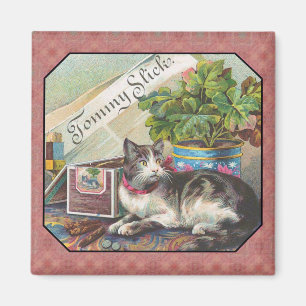 Katze auf einem Tischmagazin Magnet