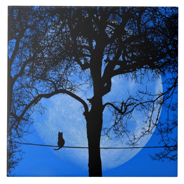 Katze auf einem Wirt Blue Moon Fliese (Vorderseite)