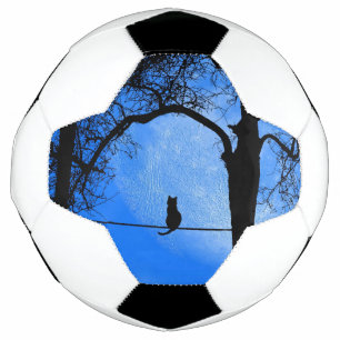 Katze auf einem Wirt Blue Moon Fußball