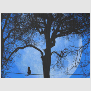Katze auf einem Wirt Blue Moon Seidenpapier
