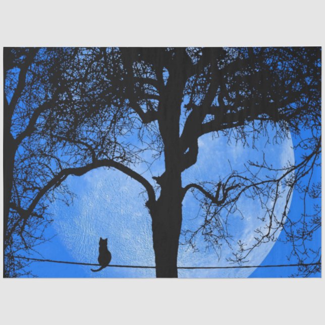 Katze auf einem Wirt Blue Moon Seidenpapier (Vorderseite)