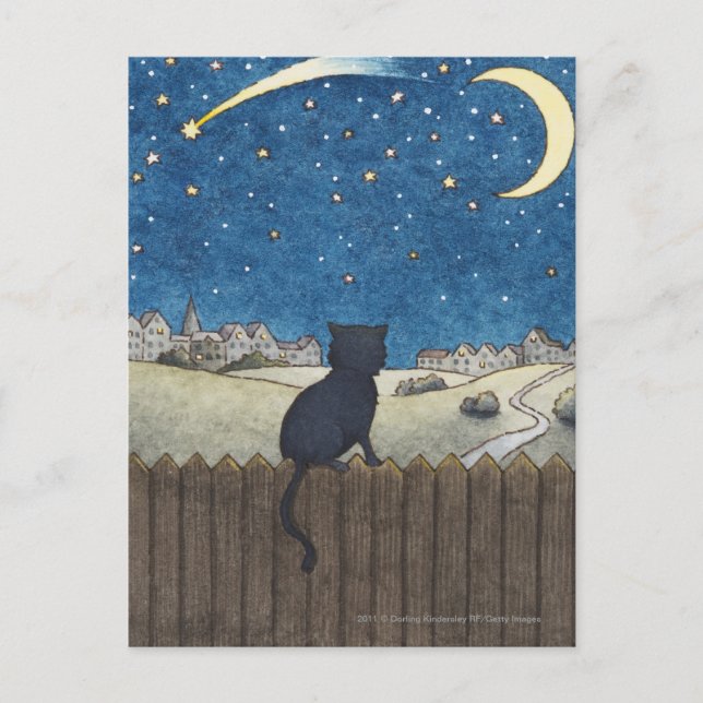 Katze auf einem Zaun mit Blick auf den Nachthimmel Postkarte (Vorderseite)