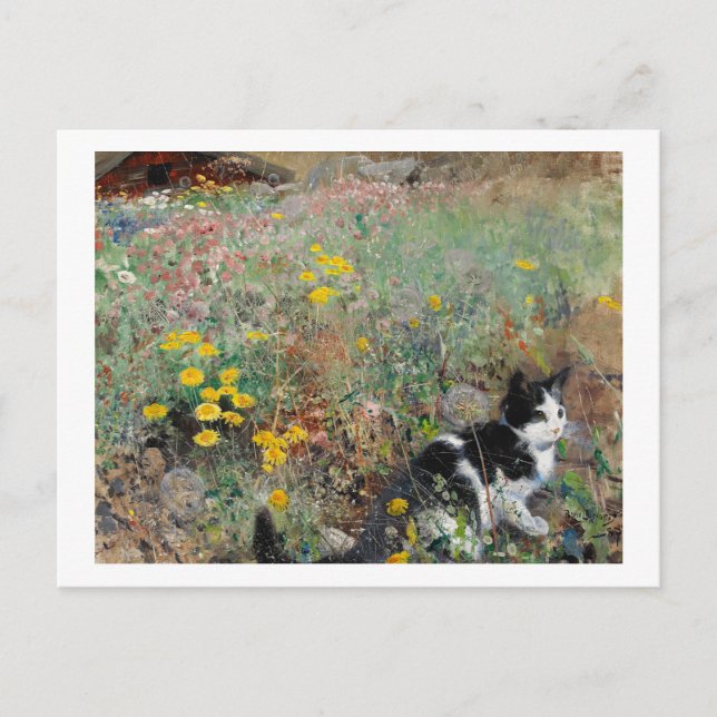 Katze auf einer blühenden Wiese, Bruno Liljefors Postkarte (Vorderseite)
