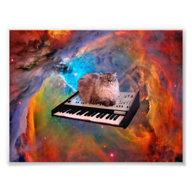 Katze auf einer Tastatur im Raum Fotodruck (Vorne)