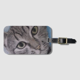 Katze auf Gepäckanhänger