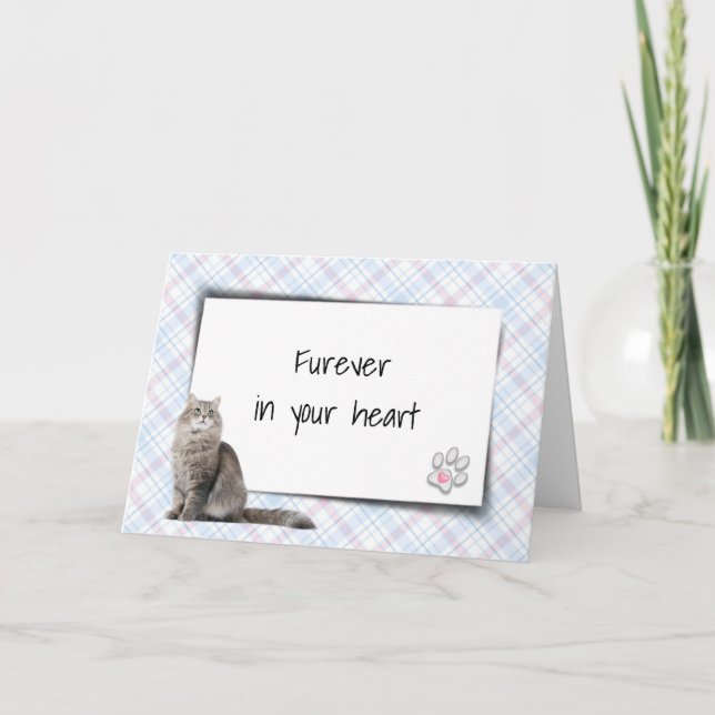 Katze auf Kariertem Tier-Loss-Beileid Karte (Vorderseite)