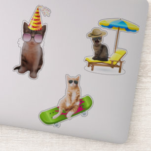 Katze auf Skateboard Aufkleber