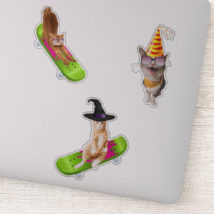 Katze auf Skateboard Aufkleber