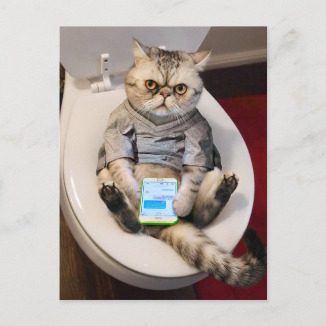 Katze auf Toilette Einladungspostkarte (Vorderseite)