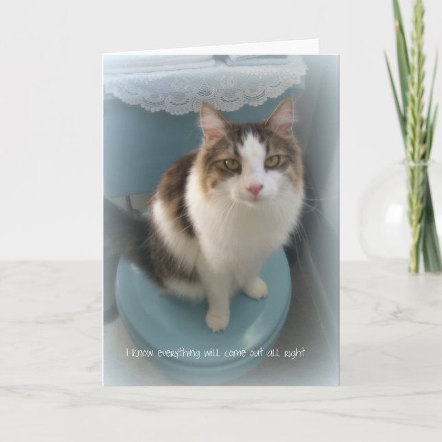 Katze auf Toiletten-Stützgruß-Karte Karte (Vorderseite)
