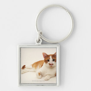 Katze auf weißem Hintergrund Schlüsselanhänger