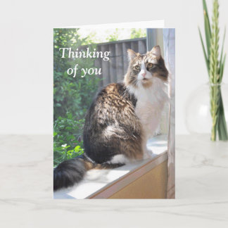 Katze auf Windowsillkarte Karte