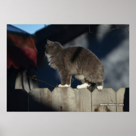 Katze auf Zaun (20) Plakat