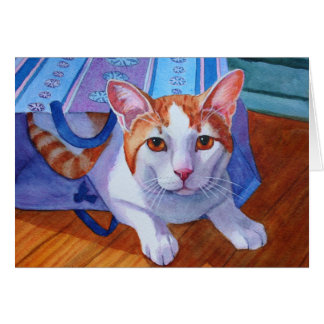 Katze aus der Tasche