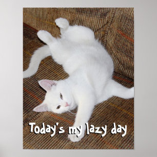 Katze ausdehnen - Plakat