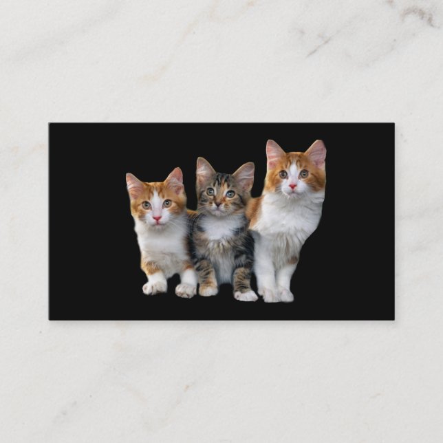 Katze außerhalb der Kasten-Visitenkarte Visitenkarte (Vorderseite)